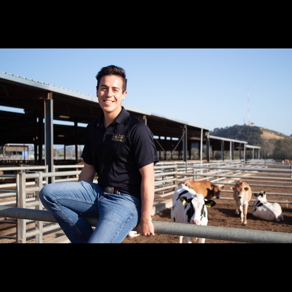 Meet your Posher, Michael - Picture 1 of 1